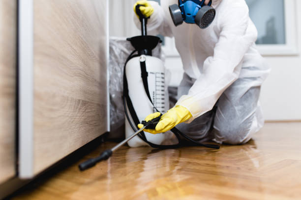 Best Commercial Pest Control Services  in Temple Terrace, FL