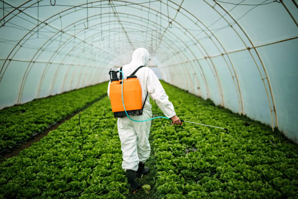 Best Local Pest Control Services  in Temple Terrace, FL