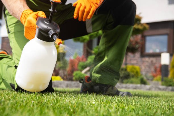 Best Pest Control Near Me  in Temple Terrace, FL