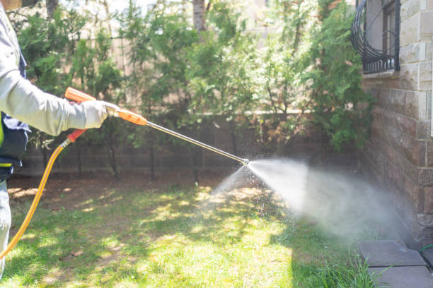 Best Emergency Pest Control  in Temple Terrace, FL