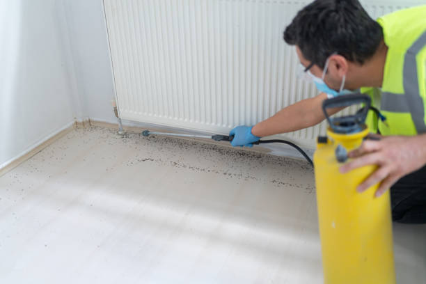 Best Pest Prevention Services  in Temple Terrace, FL
